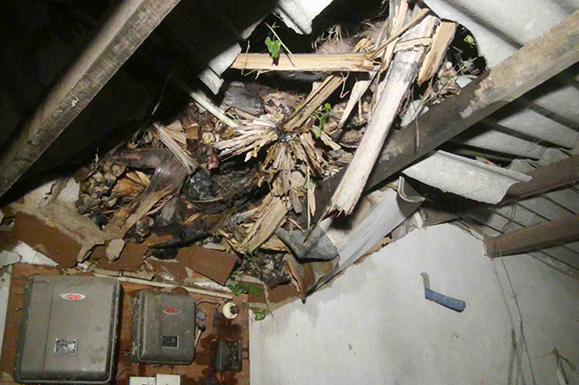 1587024518-Gusty-winds-damage-nearly-635-houses-in-Puttalam-District-L